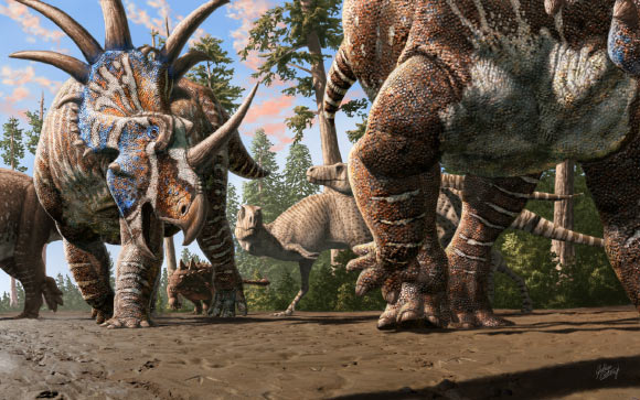 Featured image for Fossilized Tracks Reveal Multi-Species Dinosaur Herds