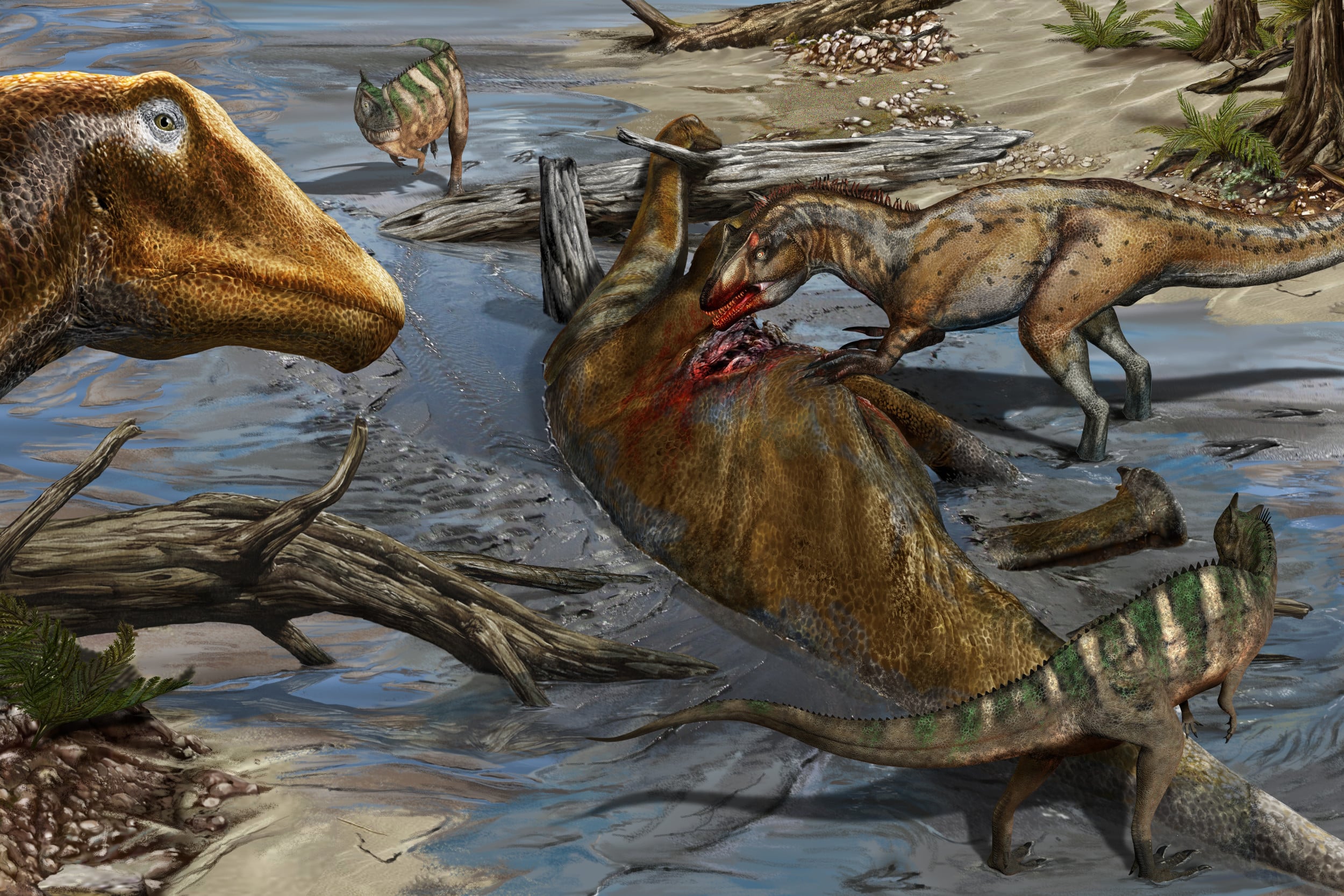 Featured image for Uncovering Jurassic America's Carnivorous Secrets through Gnawed Dinosaur Bones