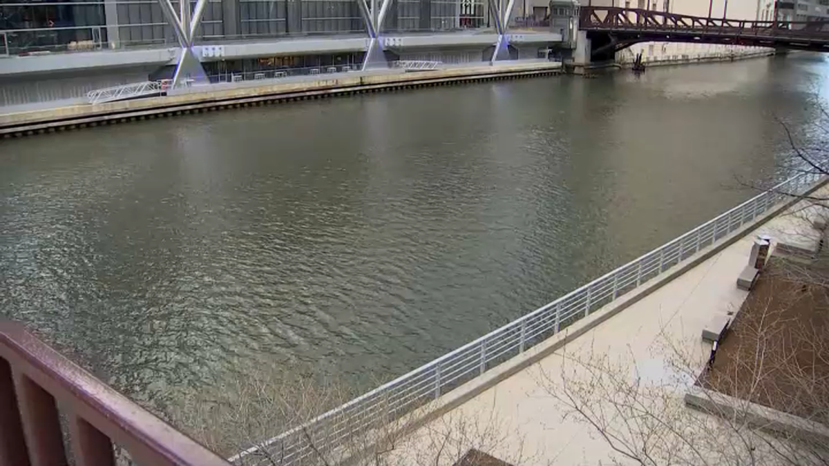 Chicago Implements Measures to Combat Flash Flooding and Protect Lake Michigan