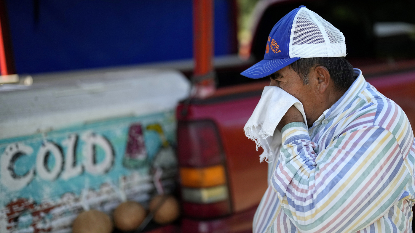 El Niño's Prolonged Impact: Heatwaves and Extreme Weather Expected