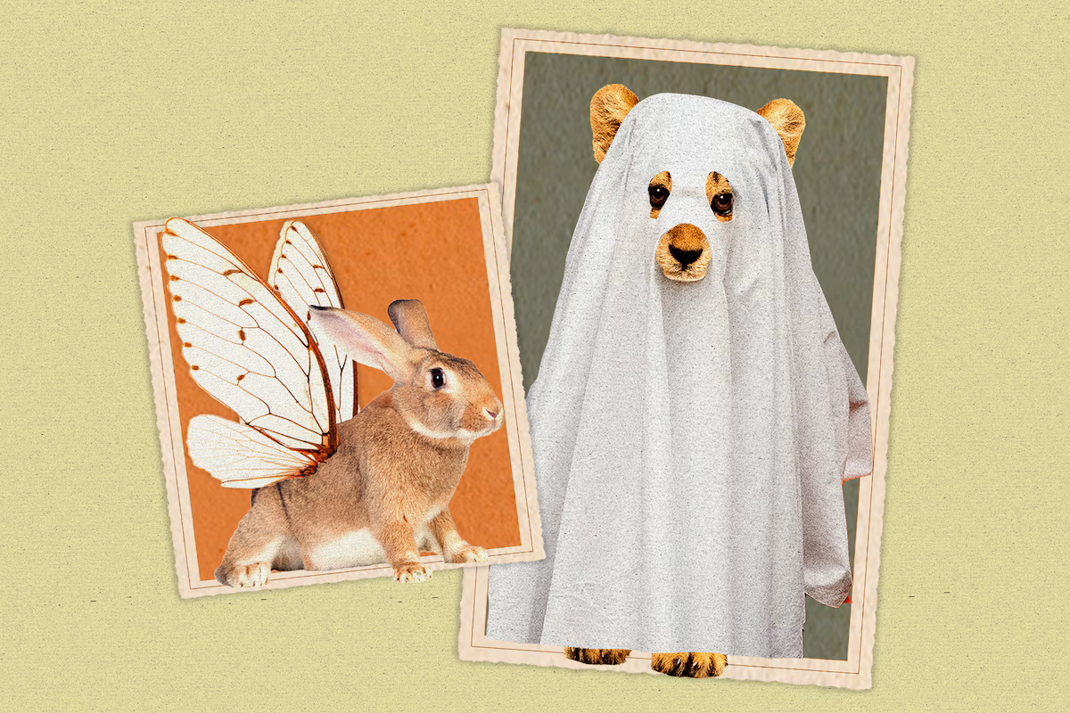 Featured image for Vote for the Best Animal Kingdom Costumes