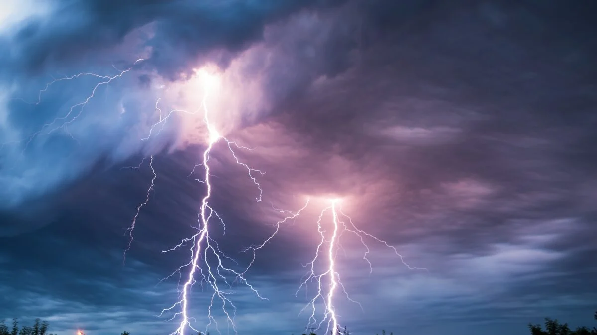 Featured image for New Research Reveals Lightning Destroys More Trees Than Previously Believed