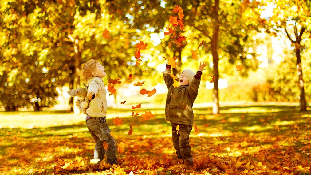"Top 10 Stocks That Consistently Rally in November, Making It the S&P 500's Best Month"