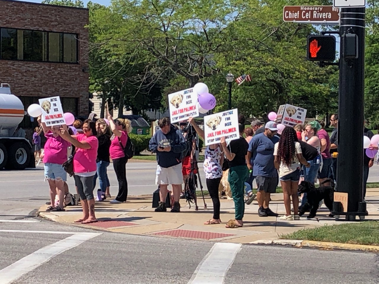 "Community Unites in 'Justice for Dixie' Rally Following Officer's Fatal Shooting of Dog"