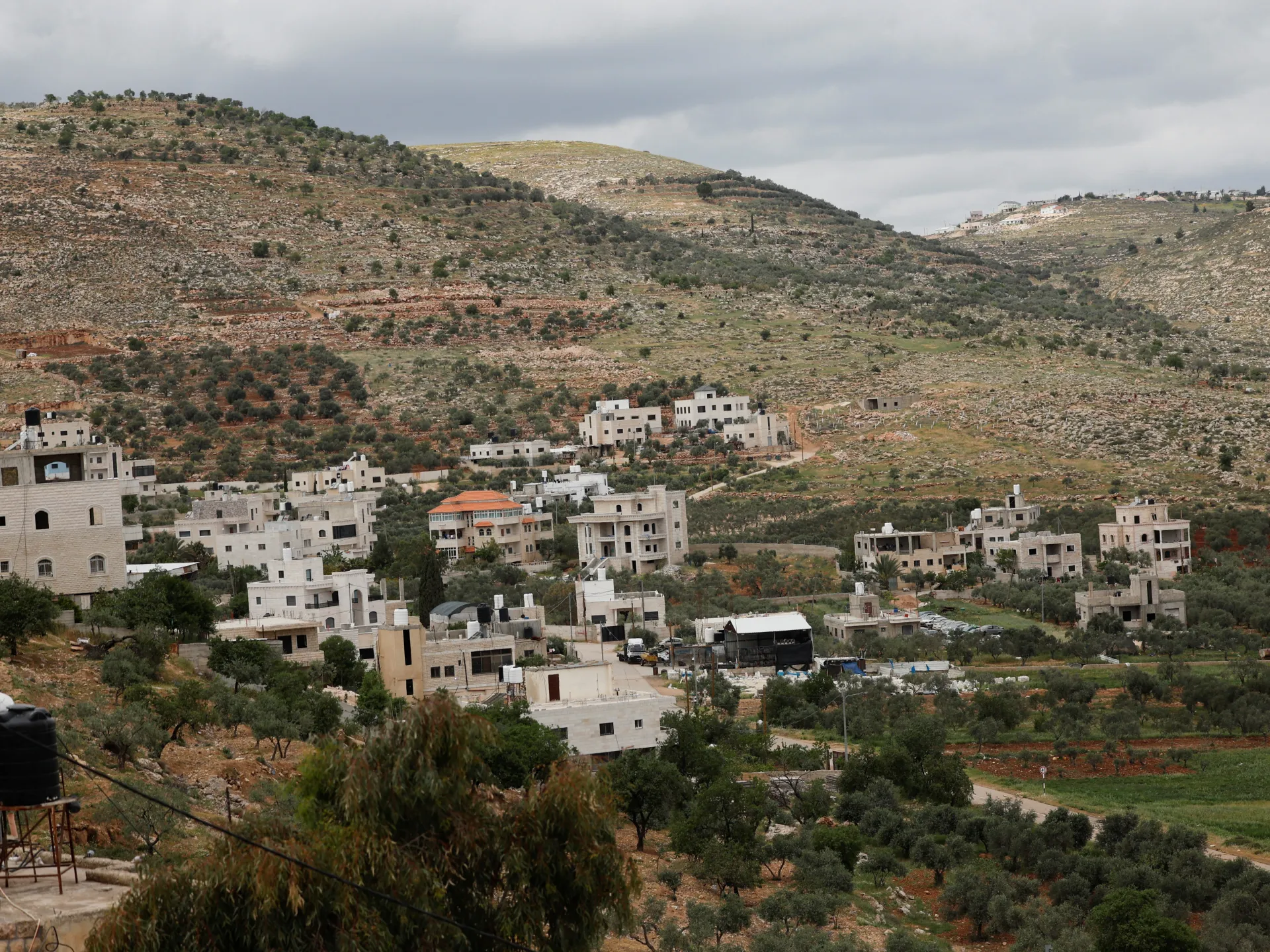 Featured image for Israeli Forces Uproot Thousands of Olive Trees in West Bank Village
