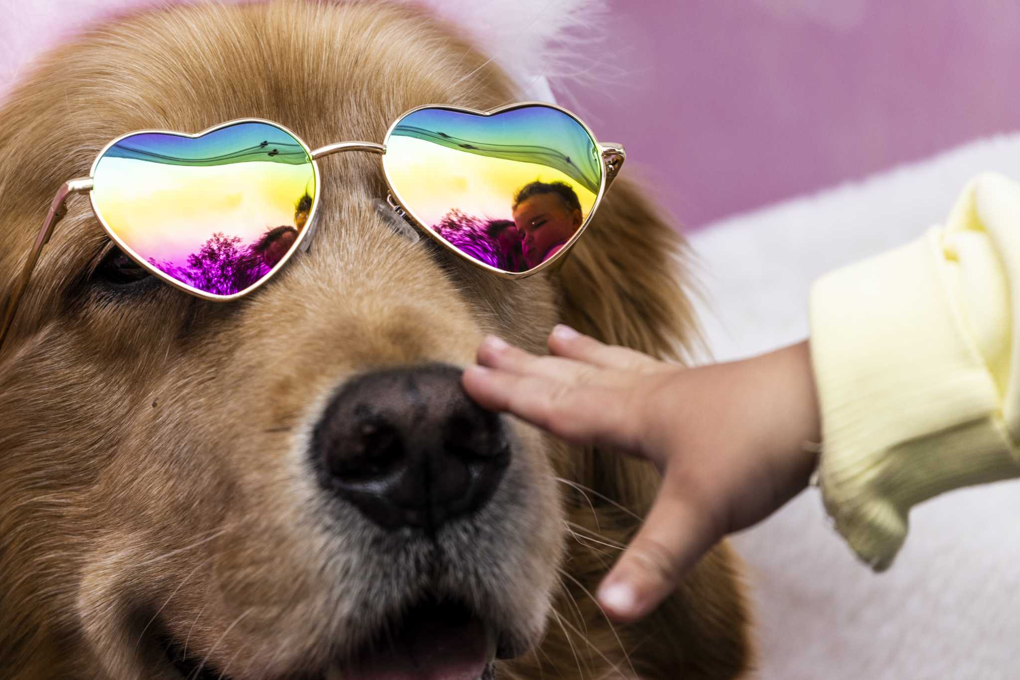 San Francisco Pride Weekend Unites Community with Festivities and Donations.