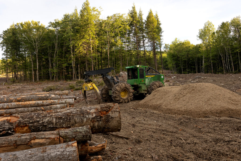 Featured image for Trump Administration Moves to Expand Road Construction in National Forests