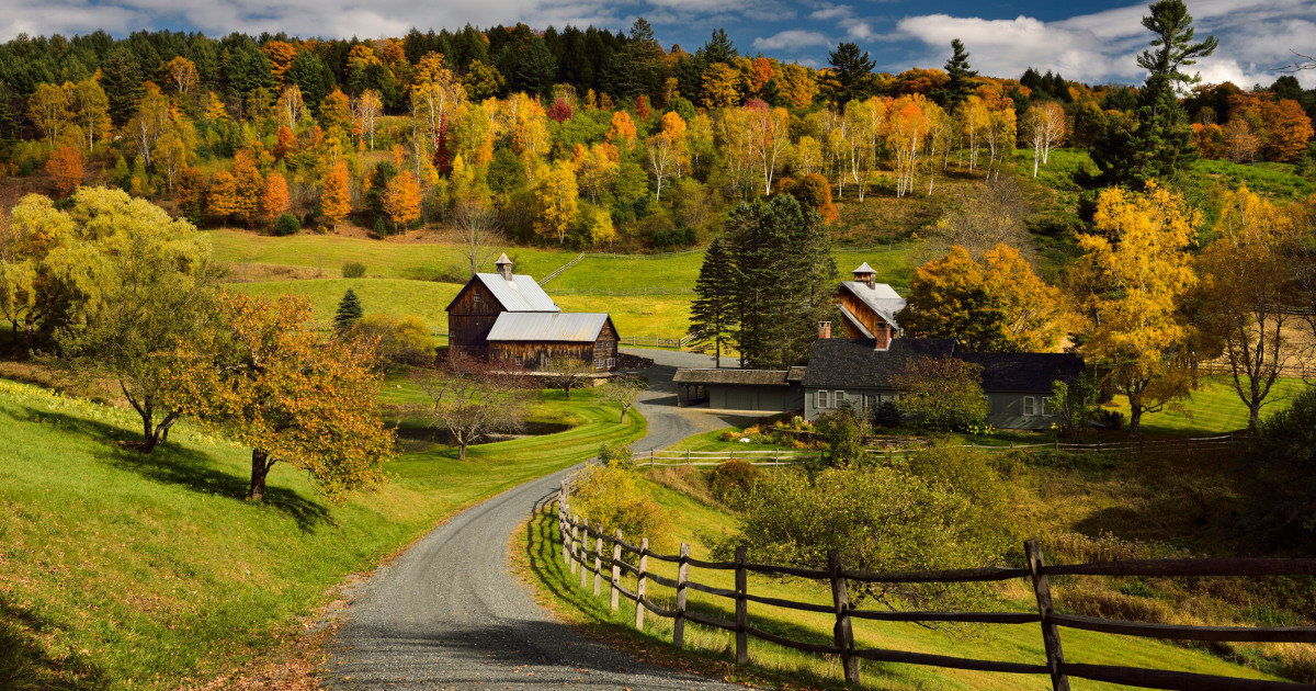 Featured image for Vermont Town Takes Action to Preserve Fall Foliage by Banning Influencers and Tourists