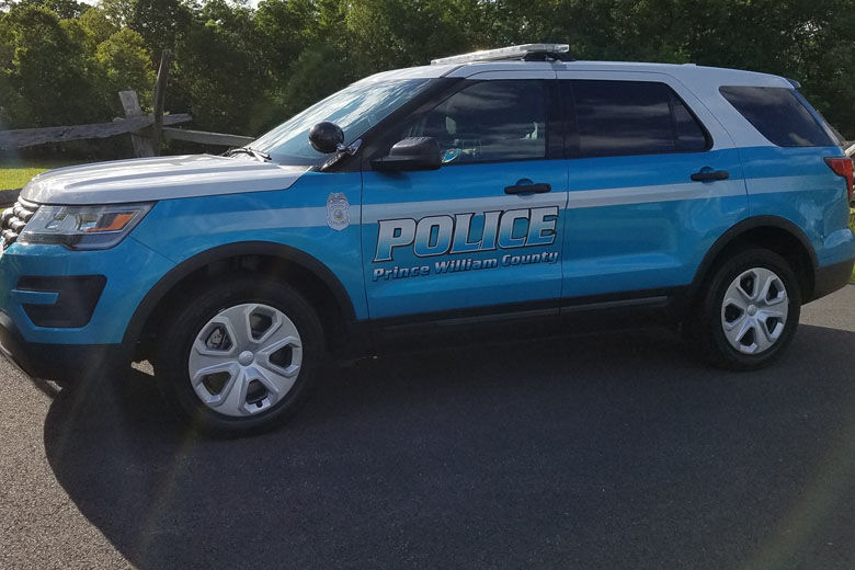 Virginia Traffic Disrupted by Snake-Related Power Outage