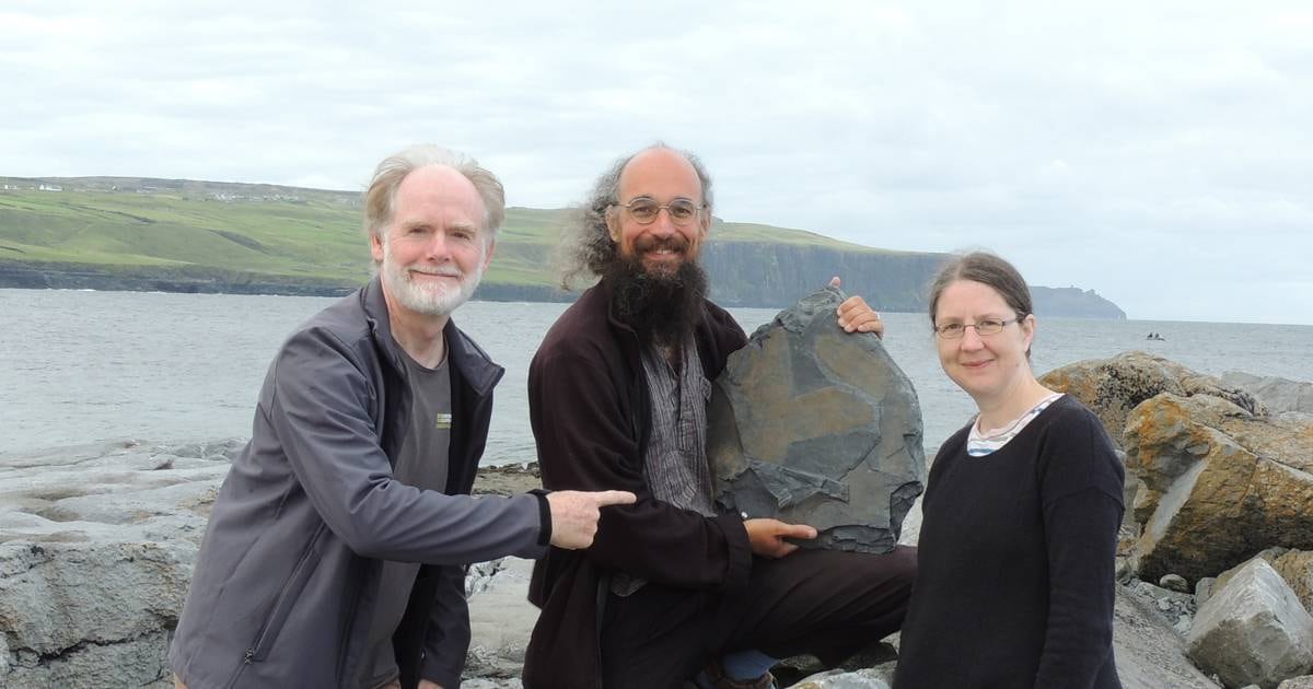 Featured image for "Extraordinary 315-Million-Year-Old Giant Sponge Fossil Unearthed at Cliffs of Moher"