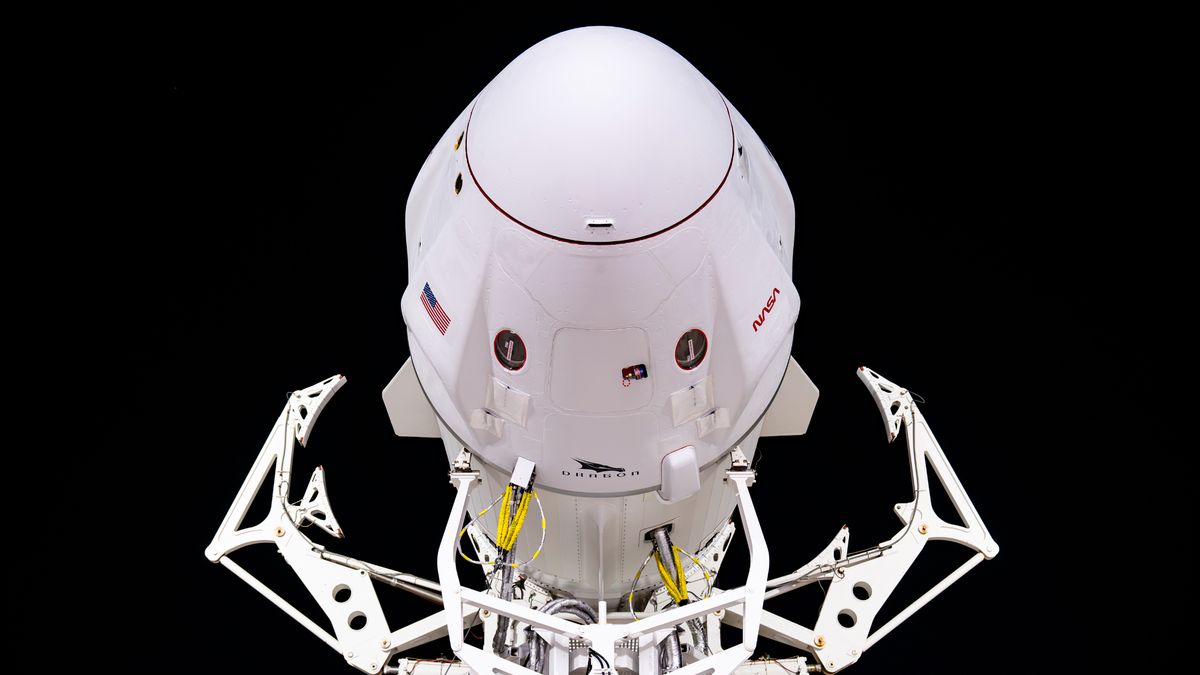 "SpaceX and NASA Greenlight Crew-7 Astronaut Mission to Space Station"