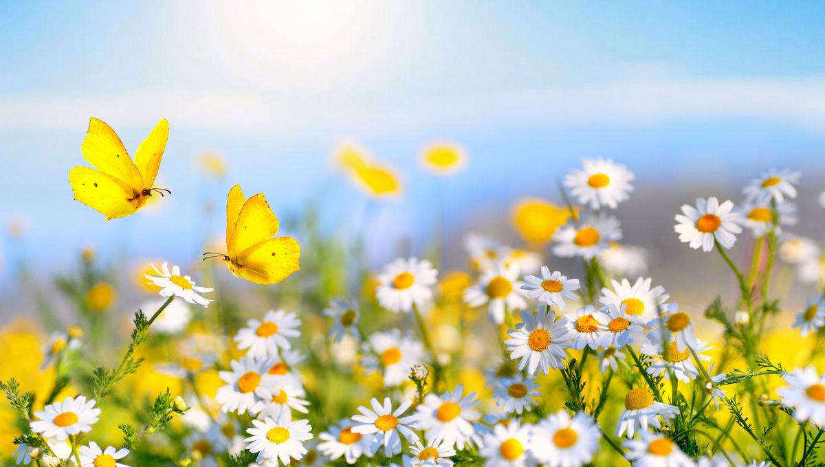 Featured image for Scientists uncover a universal rule governing all Earth's life