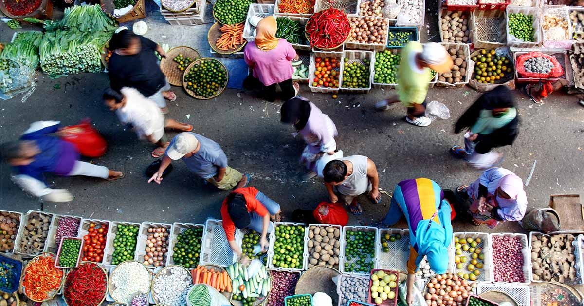 Featured image for "Mind Diet: The Key to Mental Health and Cognitive Function"