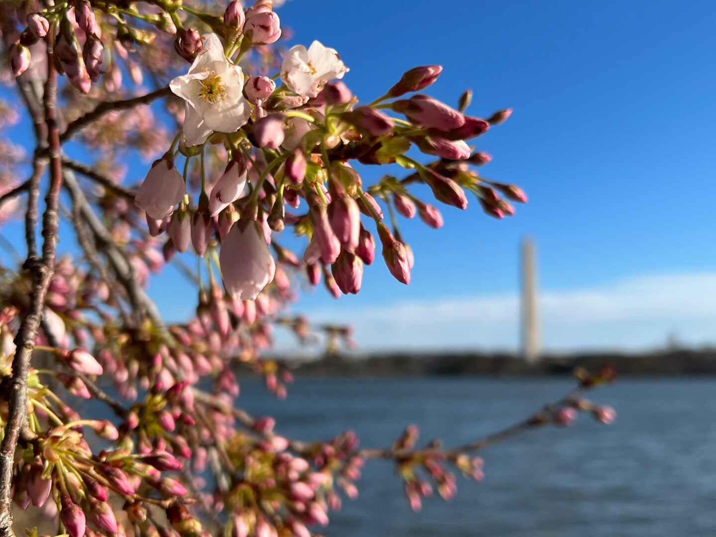 Weather Update: Windy Wednesday, Warmer Temps Return.