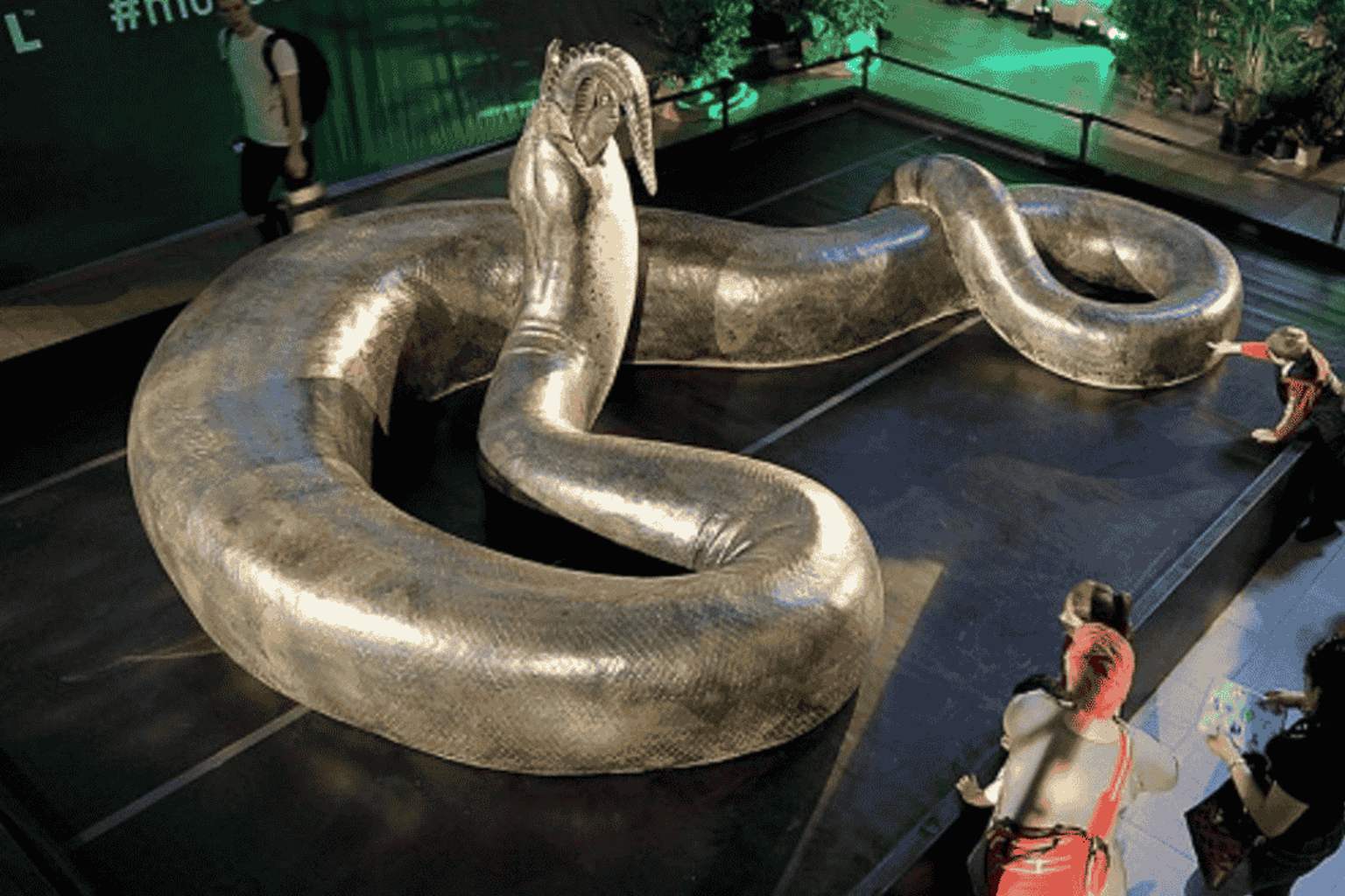 Featured image for Scientists Discover Growing Giant Snake Heavier Than a Car