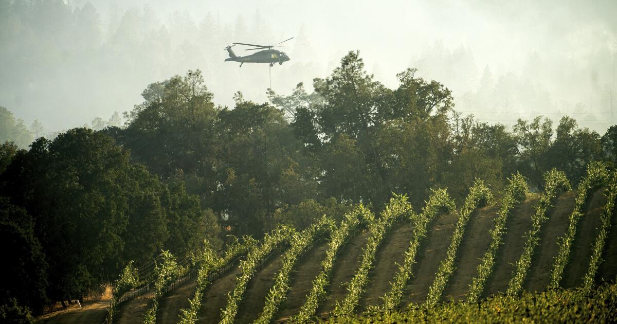 Featured image for Napa Valley Wildfires: Impact on Wineries and Water Safety