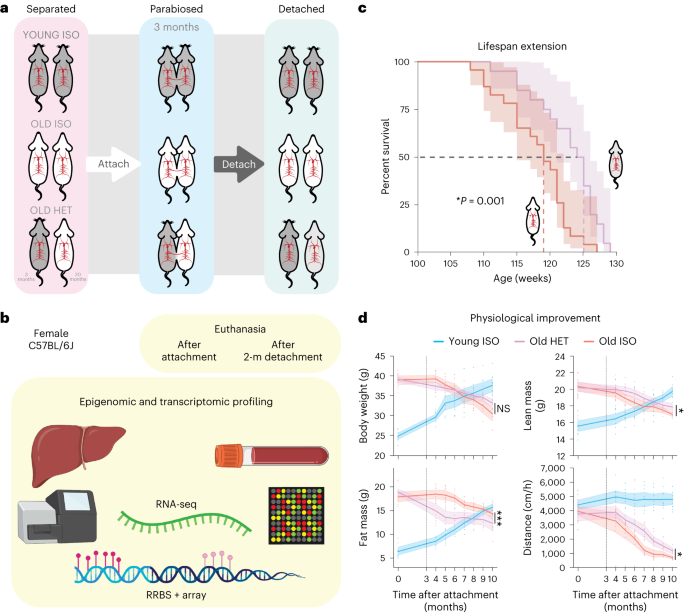 Featured image for "Unlocking the Fountain of Youth: How Multi-Omic Rejuvenation Extends Life Span through Youthful Circulation"