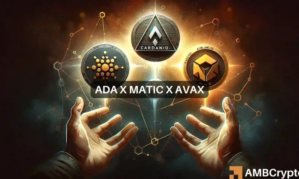 Featured image for Cardano's Strong Ties with AVAX and MATIC: Future Gains?