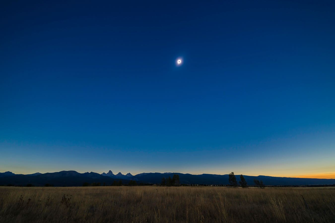 Featured image for "Rare 'Planet Parade' and Comet Spotted During Total Solar Eclipse"