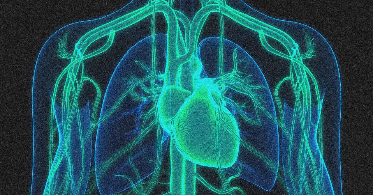 Gene Editing Therapy Halves Cholesterol Levels in Early Trials