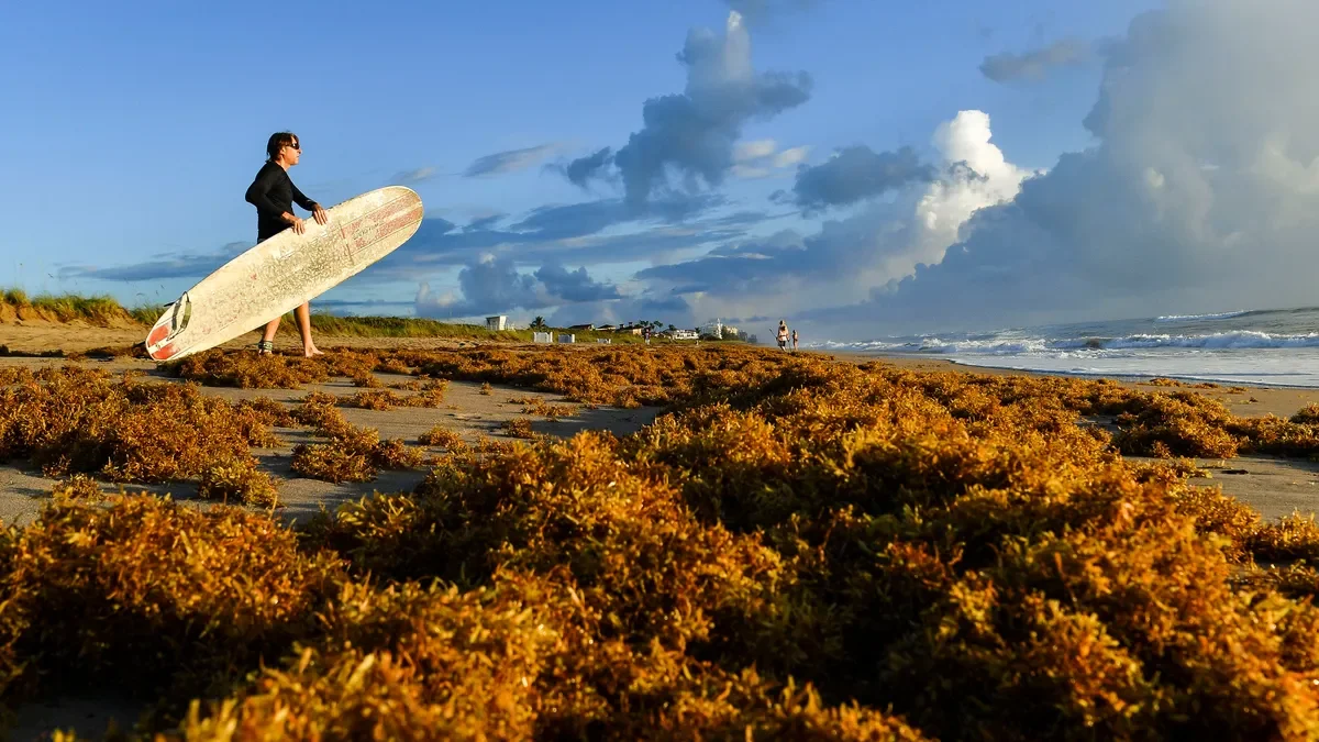 Memorial Day Beachgoers Beware: High Bacteria Levels and Sewage Contamination Close Several US Beaches.