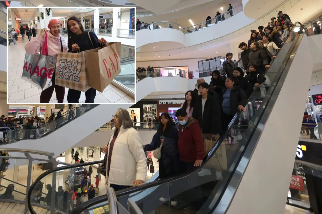 Online Shopping Dominates Black Friday as In-Store Sales Decline