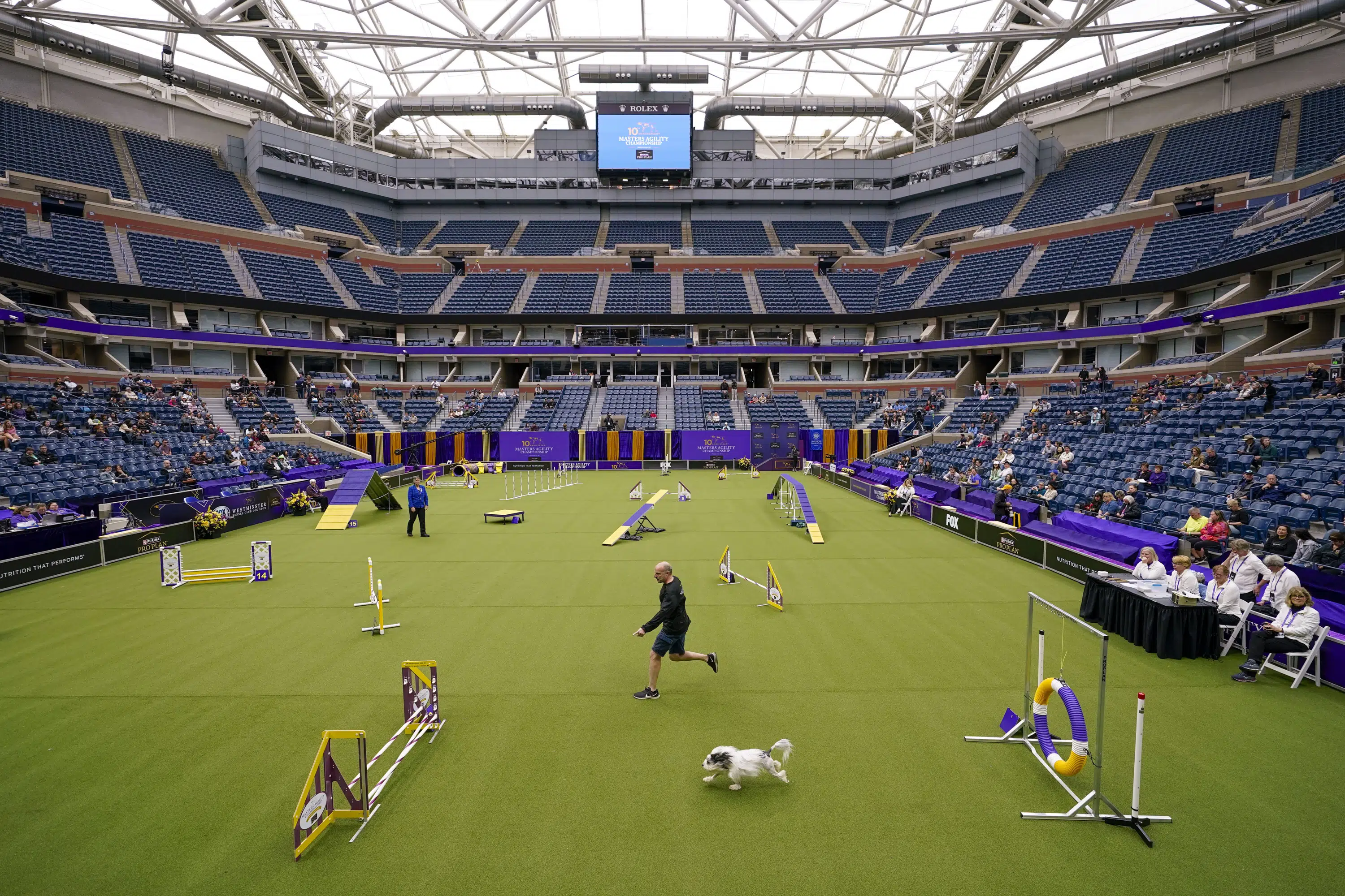 Featured image for From Tennis to Terriers: The Latest on Dog Shows in the US.