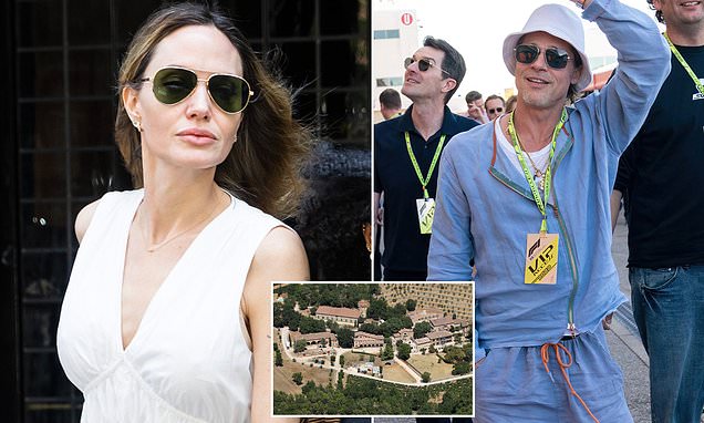 Brad Pitt accuses Angelina Jolie of secret vineyard sale to harm him.