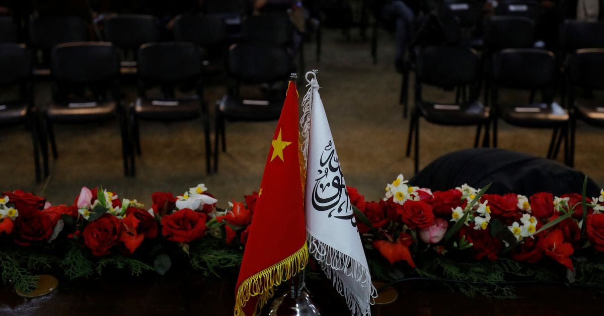 China Appoints First Ambassador to Taliban, Strengthening Diplomatic Relations