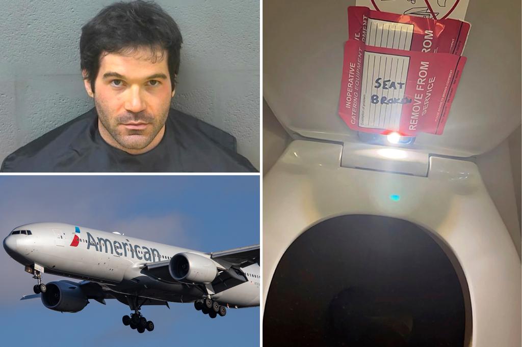 American Airlines Apologizes for Blaming 9-Year-Old Girl in Bathroom Filming Incident
