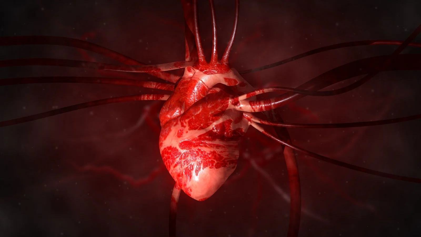 One-shot saRNA therapy boosts heart repair in animals, could this translate to humans?