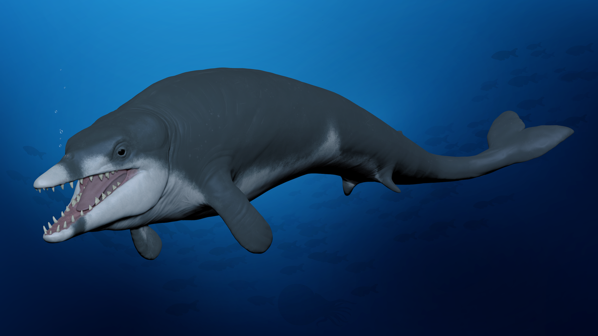 Featured image for "Tiny Ancient Whale Fossil Unearthed in Egyptian Desert"