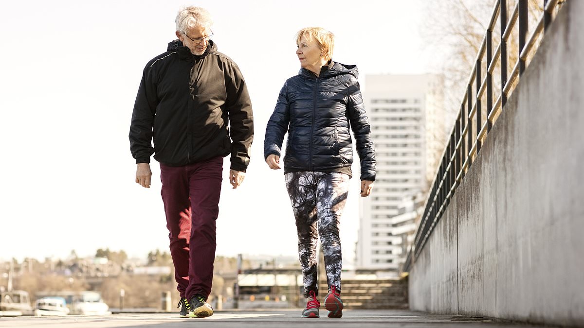 Unveiling the Four Ageotypes: The Key to Understanding Biological Aging