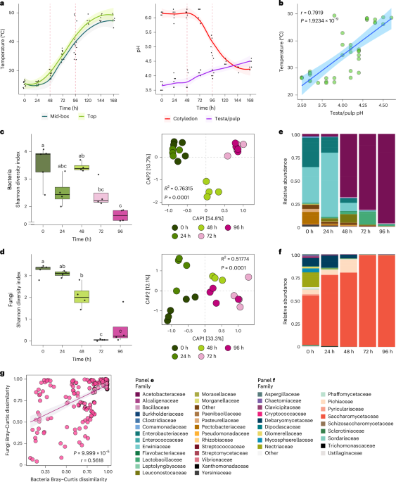 Featured image for Scientists Develop Microbial Method for Perfect Fine Chocolate
