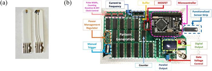 "Rapid Saliva-Based Breast Cancer Detection Device Unveiled"