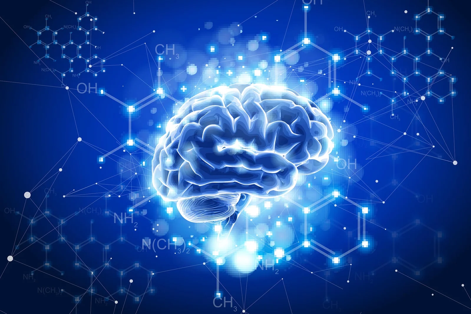 Flavanols’ Astringent Taste May Wake the Brain, Study Finds