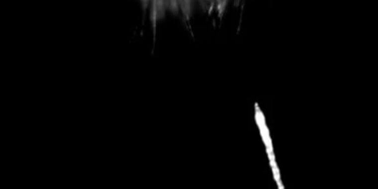 Featured image for Nematodes Hitchhike on Bumblebees Using Electric Fields