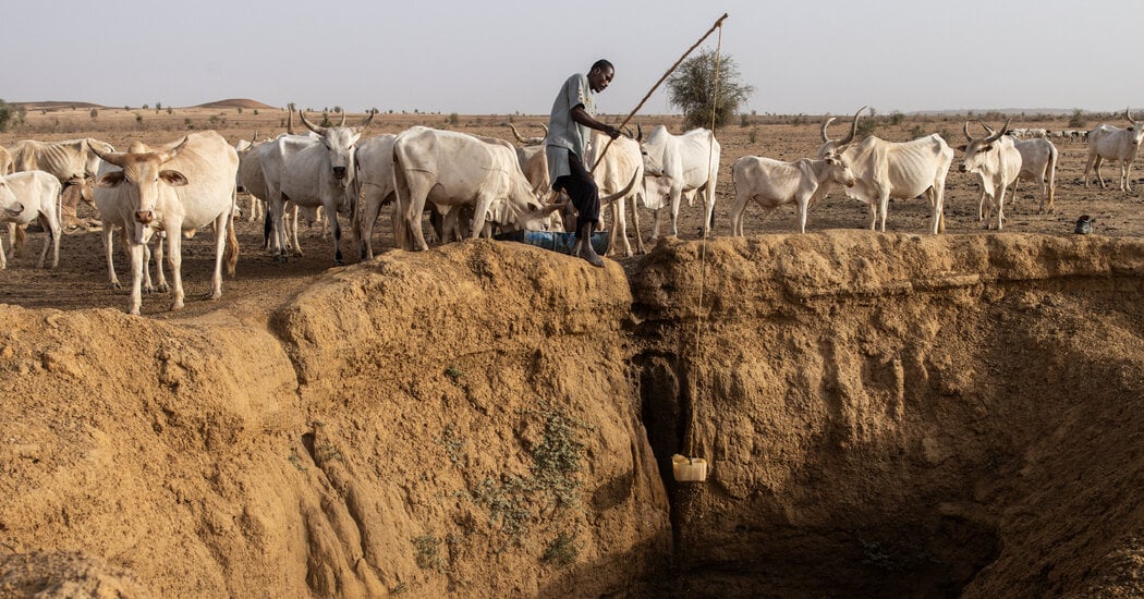 Featured image for UN Reports Widening Funding Gap for Climate Adaptation Efforts