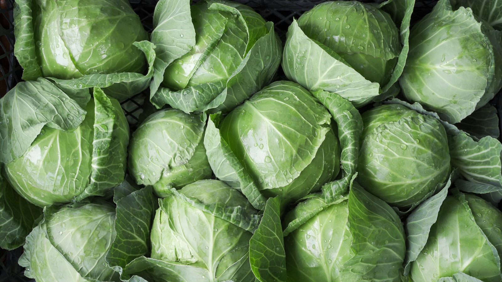 Featured image for Spice Up Bland Cabbage with This Secret Ingredient