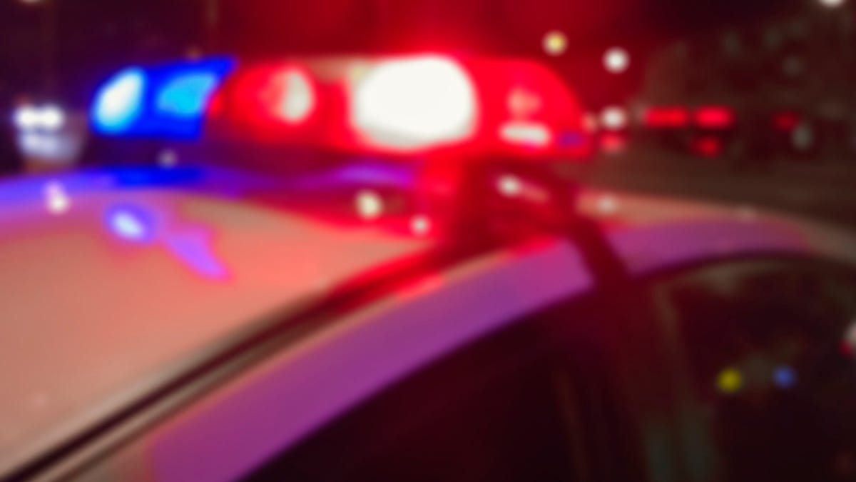 Fatal Hit-and-Run on Southfield Freeway: Police Investigate