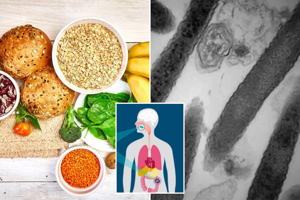 Featured image for "Western Diet Linked to Rise in Early-Onset Colon Cancer"