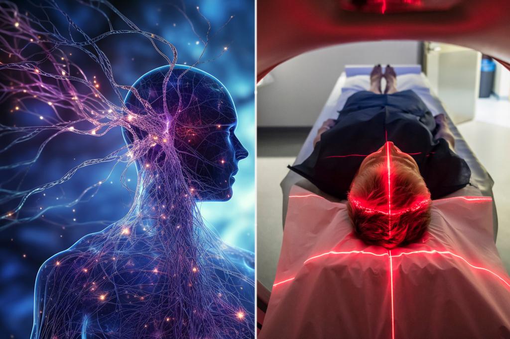 "Olive Oil-Derived Drug Shows Promise in Treating Aggressive Brain Cancer"