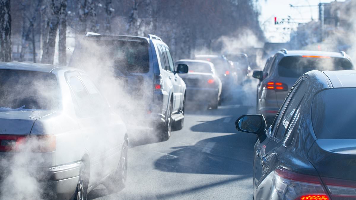 "Air Pollution Linked to 80% Increased Risk of Breast Cancer Death, Comparable to Smoking and Obesity"
