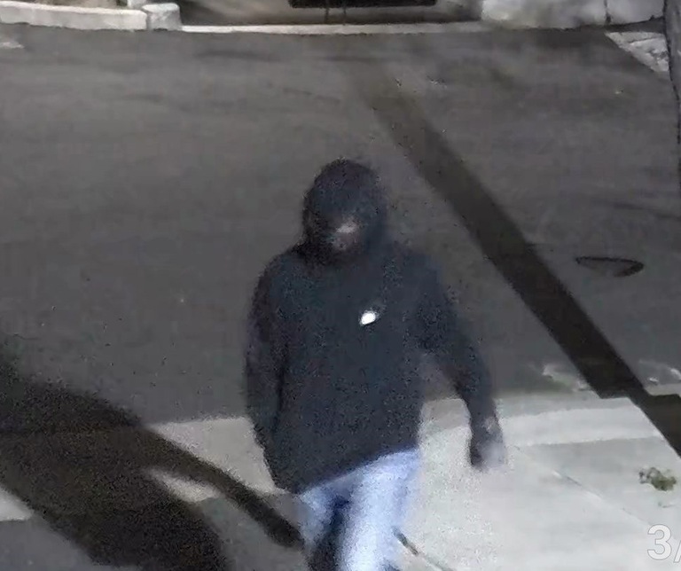 Featured image for Former Marine Admits Guilt in Planned Parenthood Firebombing and Dodger Stadium Attack Plot