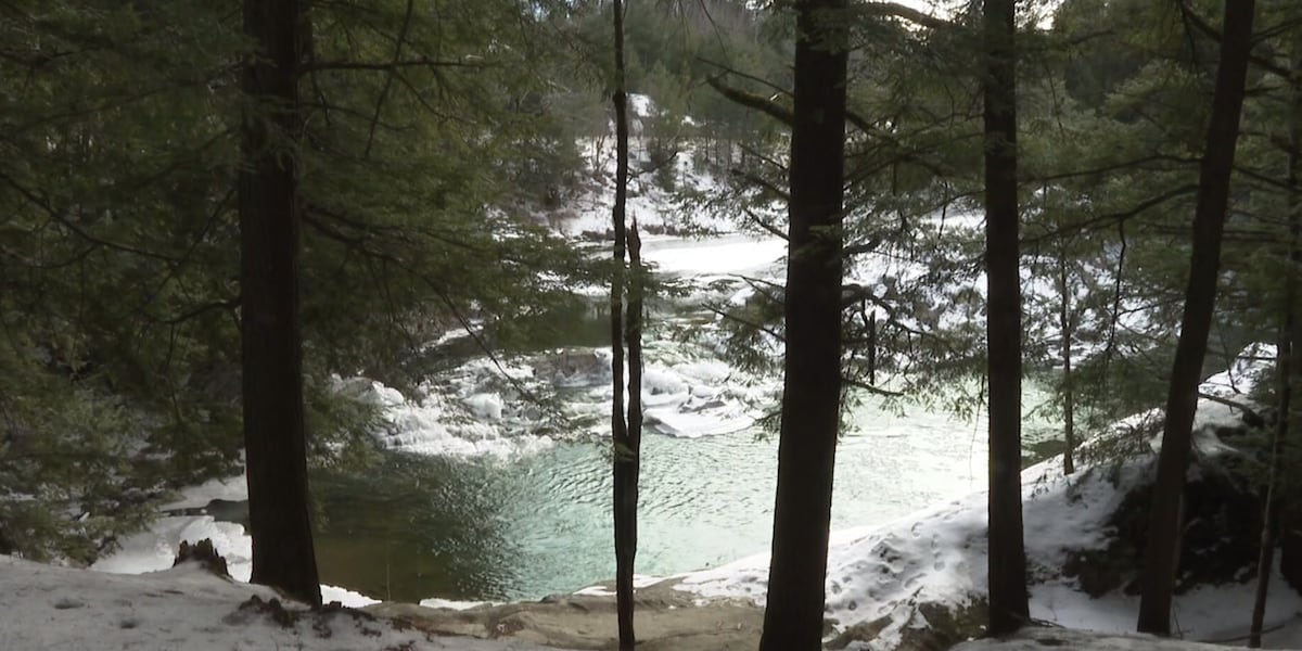 Featured image for Mysterious Death: Woman Found Dead in Troy, Vt. Container