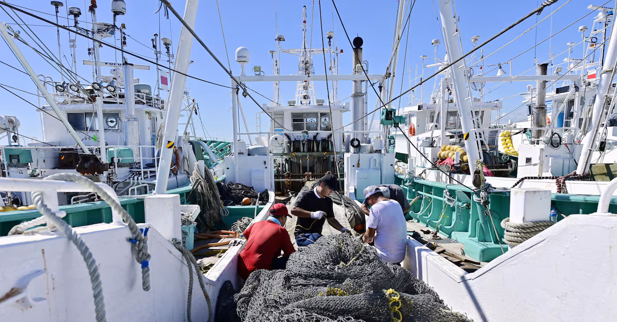 Hong Kong Implements Control Measures on Japanese Seafood Due to Fukushima Concerns