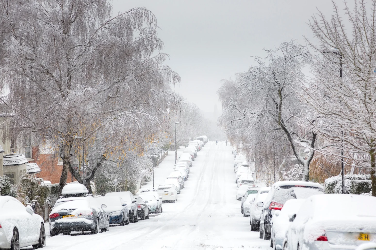 Featured image for Potential Collapse of Ocean Currents Could Trigger Severe Cooling in Northern Europe