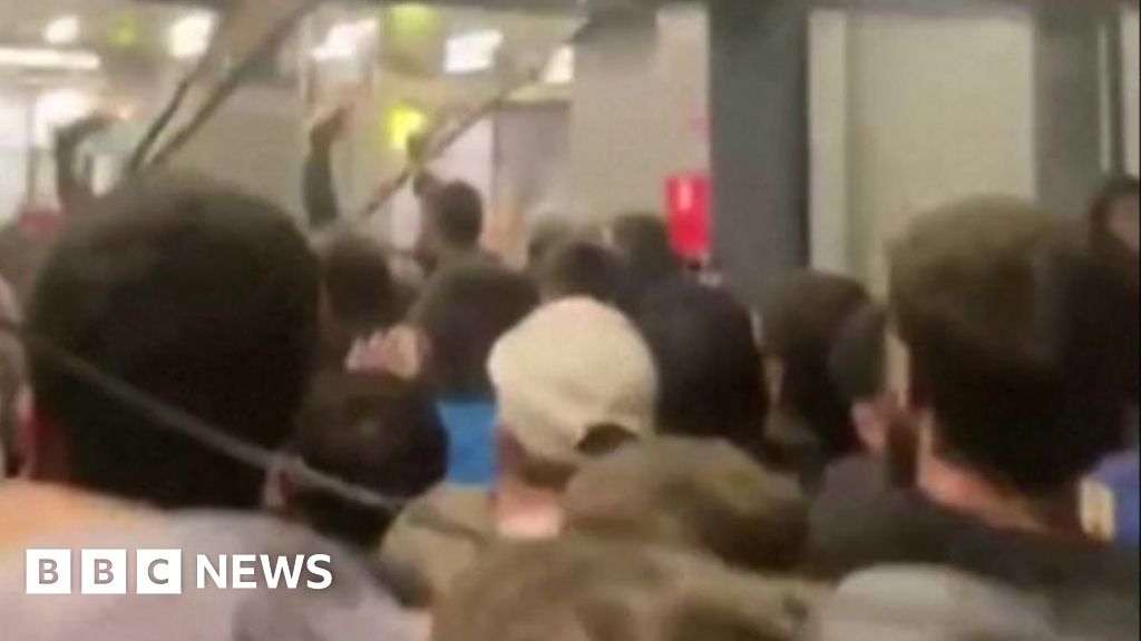 Pro-Palestinian Mob Storms Russian Airport, Disrupting Flight from Israel