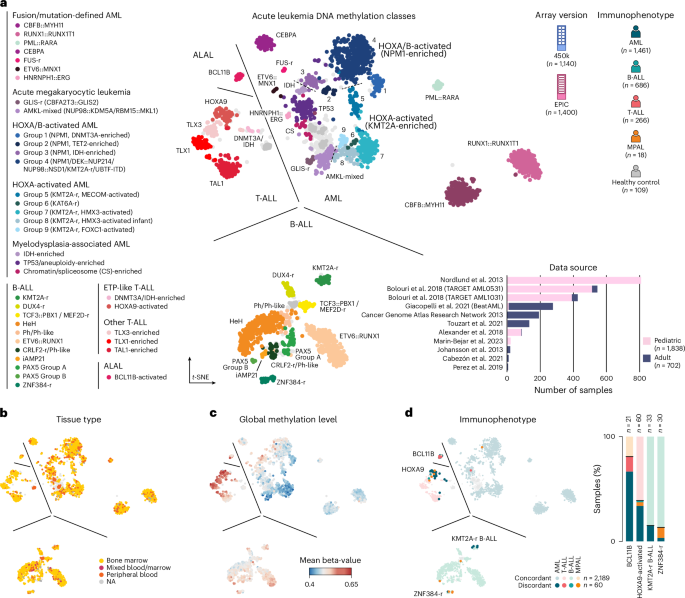 Featured image for Dana-Farber Develops AI-Powered Tool for Rapid Leukemia Classification