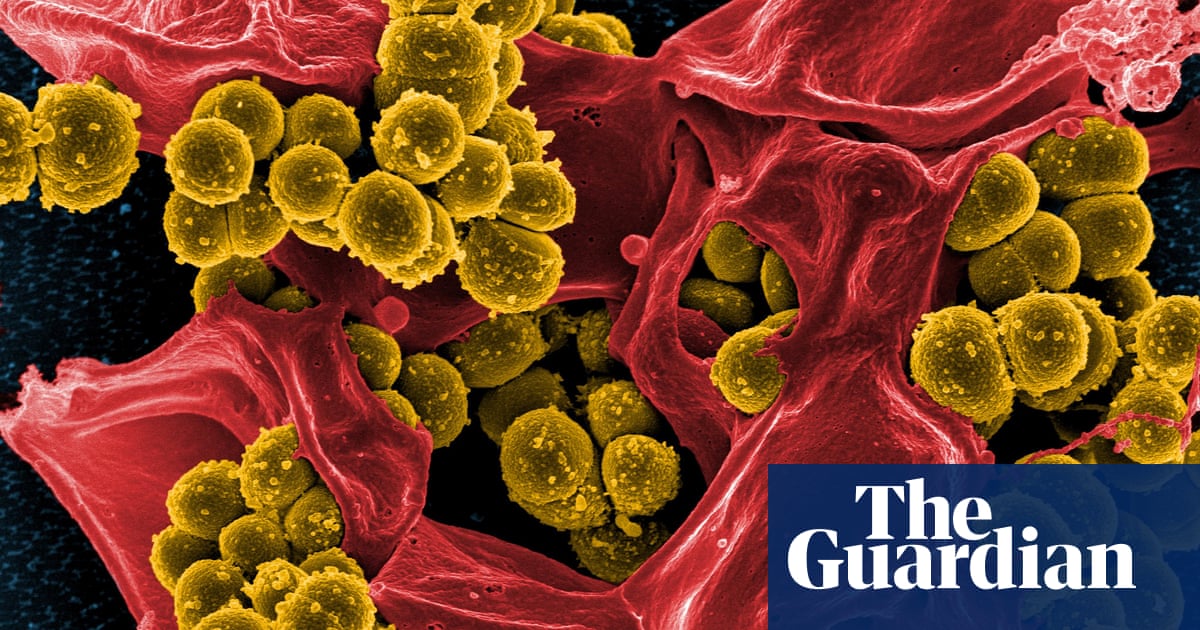 AI Uncovers Vast New Sources of Potential Antibiotics